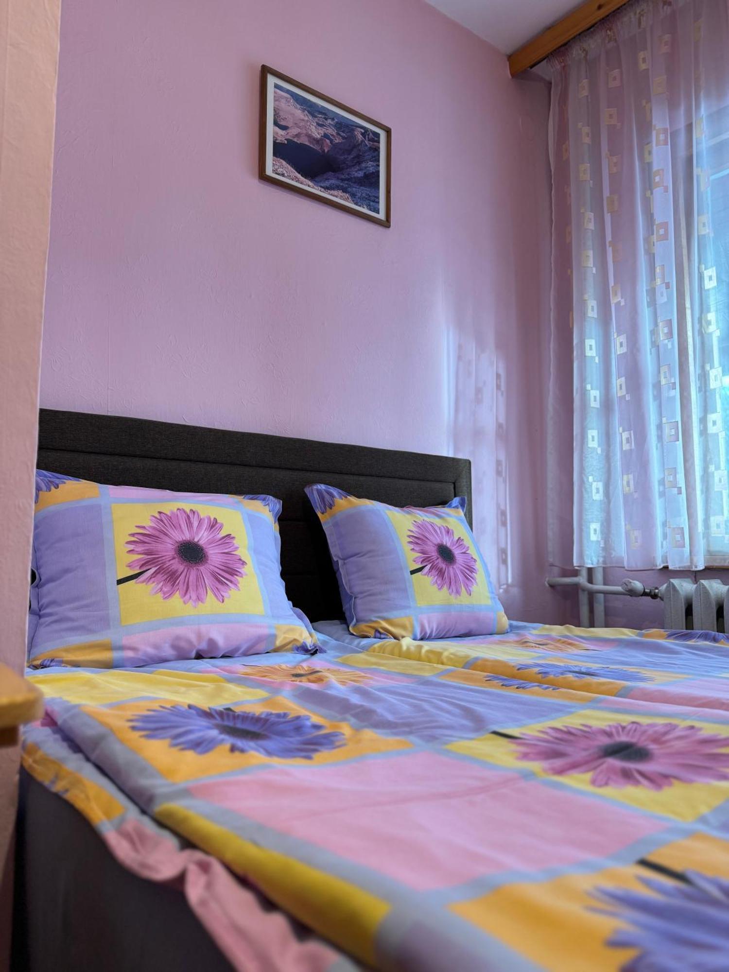 Mama Emiliya Guest House Beli Iskar Exterior photo