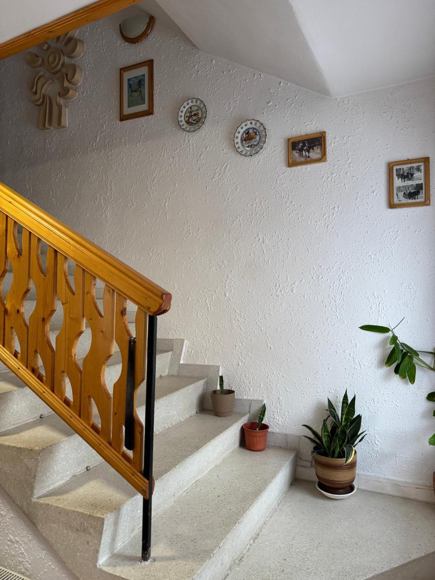 Mama Emiliya Guest House Beli Iskar Exterior photo